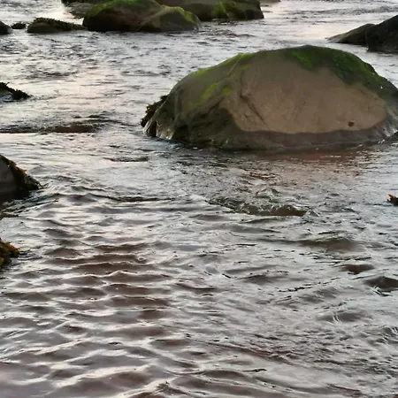 The Ce Hideout Privatunterkunft Tralee