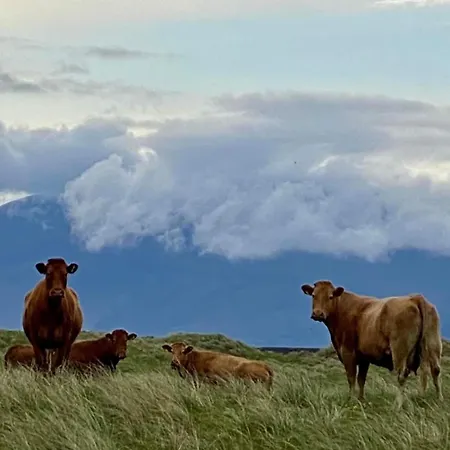 The Ce Hideout Δωμάτια σε οικογενειακή κατοικία