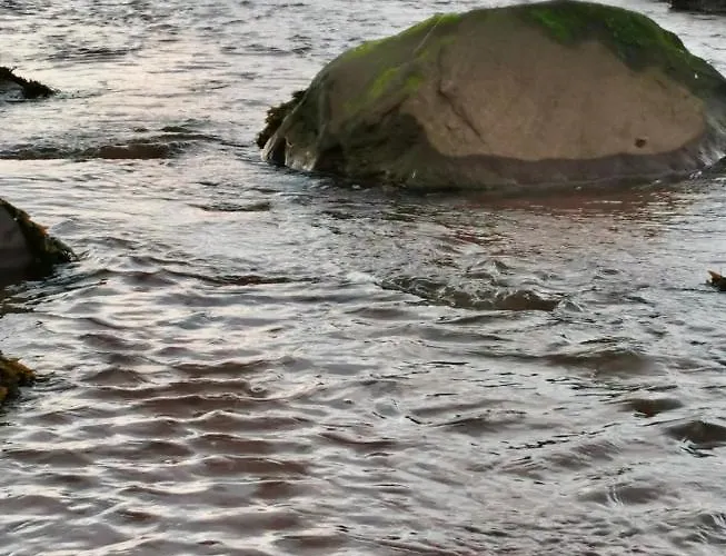 The Cé Hideout Séjour chez l'habitant Tralee