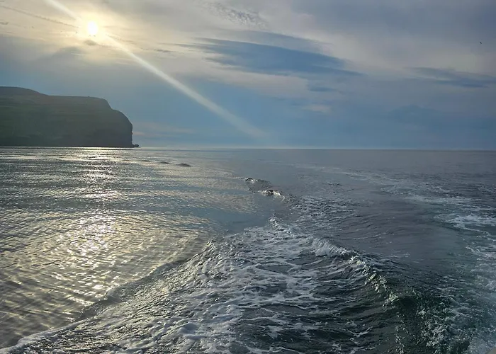 The Cé Hideout Séjour chez l'habitant Tralee