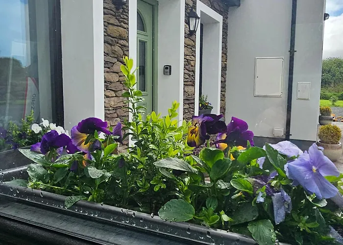 Séjour chez l'habitant The Cé Hideout *