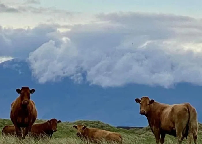 The Cé Hideout Séjour chez l'habitant